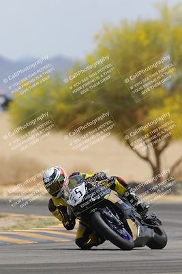 media/Apr-12-2025-Race Pace (Sat) [[9230add55f]]/Vested/6-Turn 4 Tree of Life (115pm)/